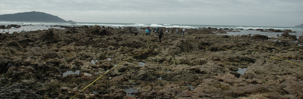 Teaching & Mentoring